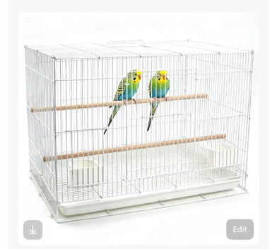 Budgies canary & finches cages Complete Setup