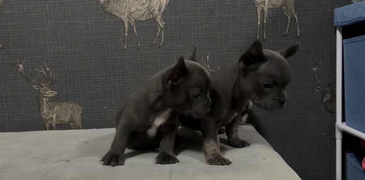 Blue Girl and boy ready to leave Friday