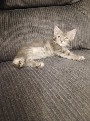 Gorgeous girl