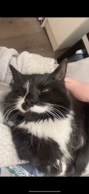 Adorable boys
