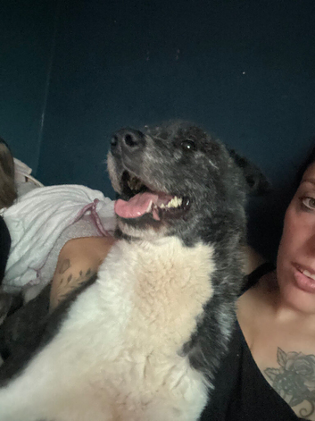 Rehoming 2 sisters