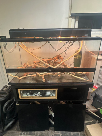 3ft exoterra Viv & stand