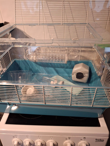 Drawf hamster/Mouse cage