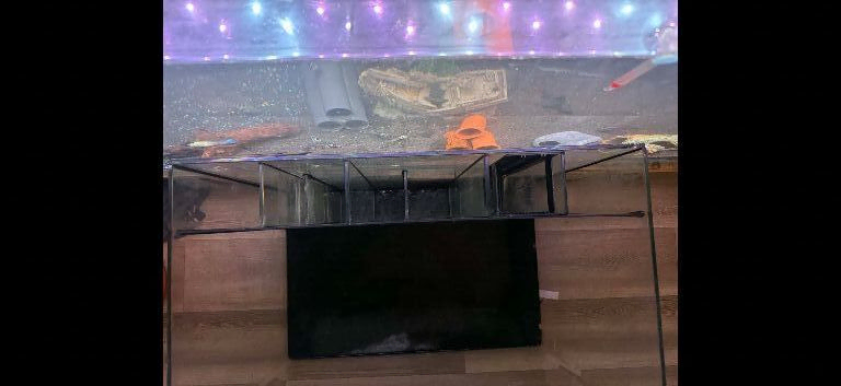 Aqua one 60/100 tank