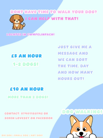 Dog walking