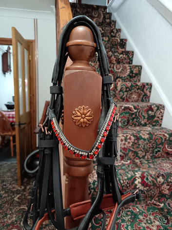 Bridles and head collars