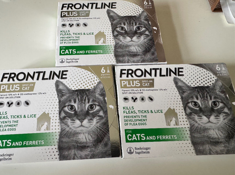 Frontline plus spot on cat 3 &times; 6 pipettes
