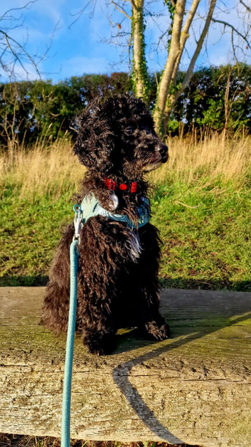 Stunning boy 9months