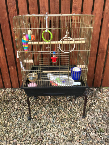 Parakeet cage with stand little used with accessories
