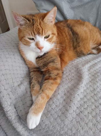Tilly 14 years