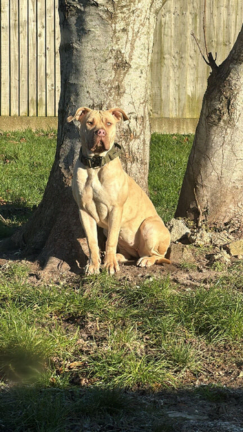 Beautiful 10month old girl