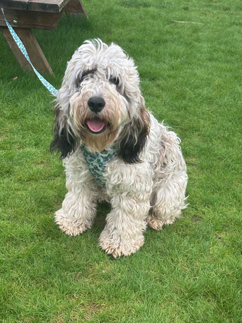 10 month old Boy
