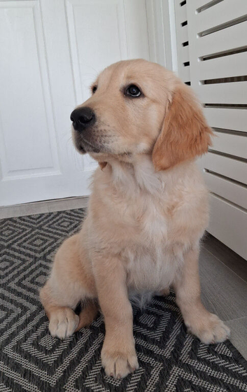 1 girl left! KC registered