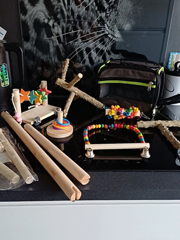 Small parrot cage