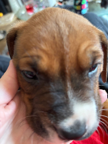 For sale