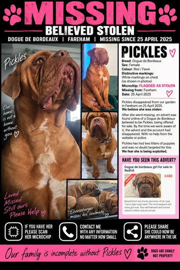 PICKLES