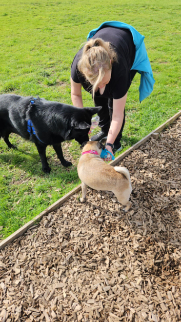 Dog walking and pet sitting Services, Happy Trails means Happy Tails