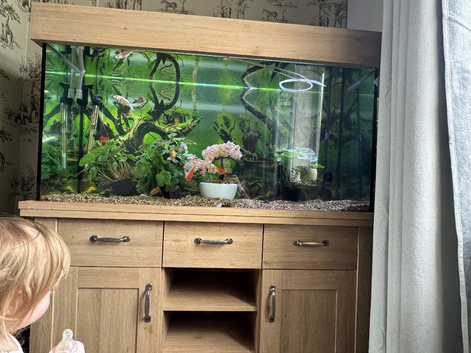 Aqua one 240l 4ft fish tank oak