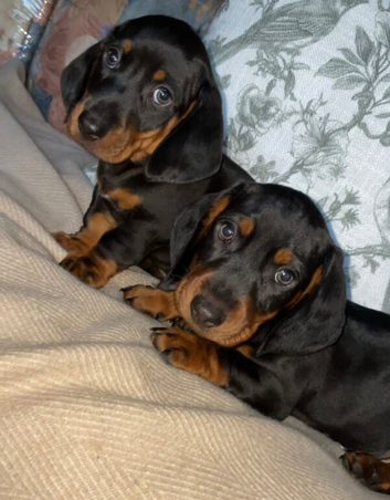 2 gorgeous boys️