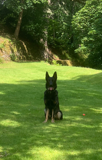 Loki