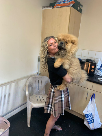 8 month old male chow chow