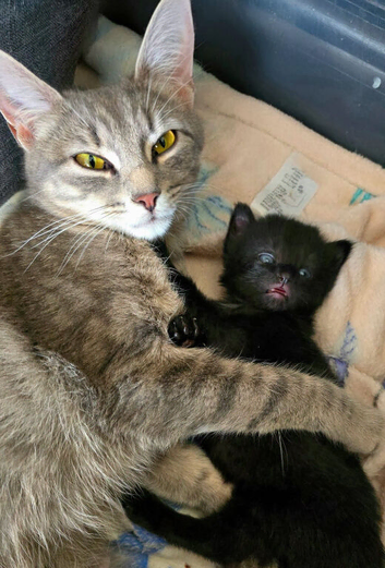 Beautiful babies