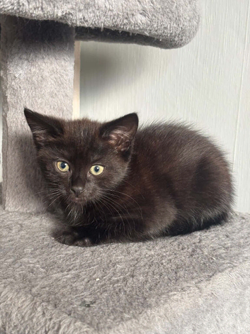 Beautiful kitchens