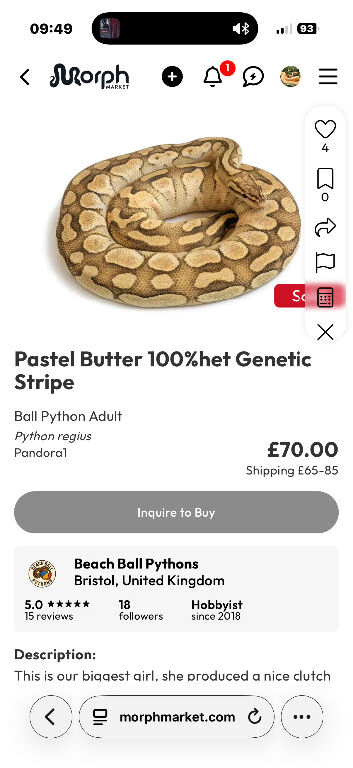 Pastel butter 100% Het generic stripe