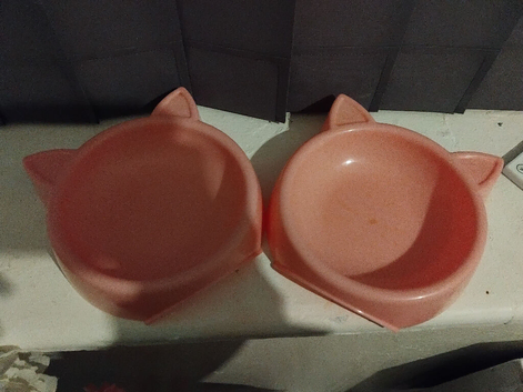 Cat accessories