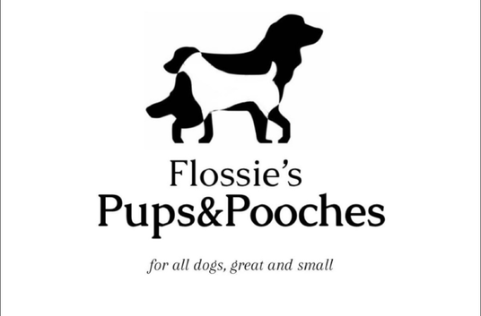 Need a loving, reliable, experienced dog mad sitter/walker for your pooch/pooches?