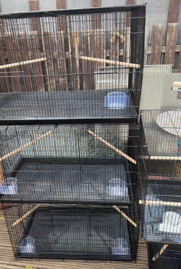 12 wire  double breeders