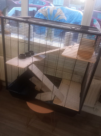 Plaza new rat ,hamster cage