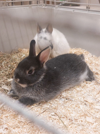 Mother and baby