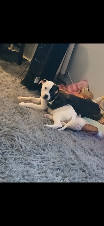 Disel and patch can go together or separate