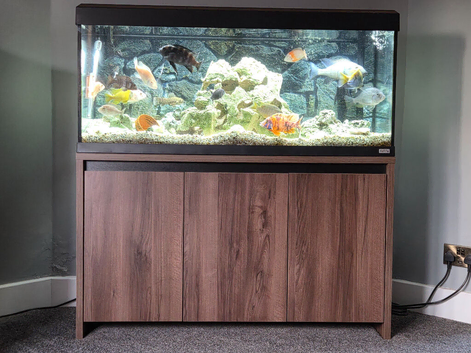 Fish tank for sale