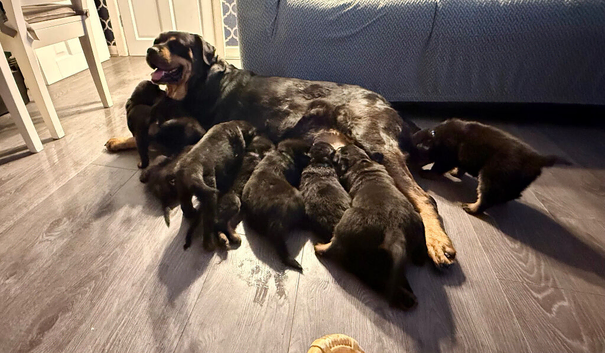 9 beautiful babies