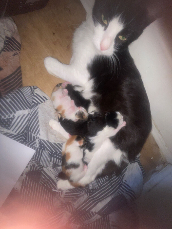 Need loving home
