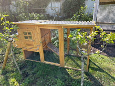 COCOON chicken coop