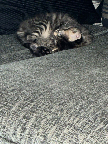 Beautiful little girl