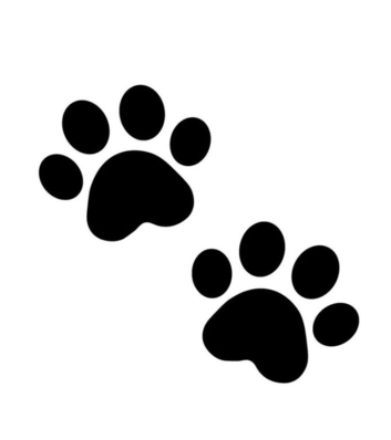 Dog walking &pound;10 - &pound;15 an hour