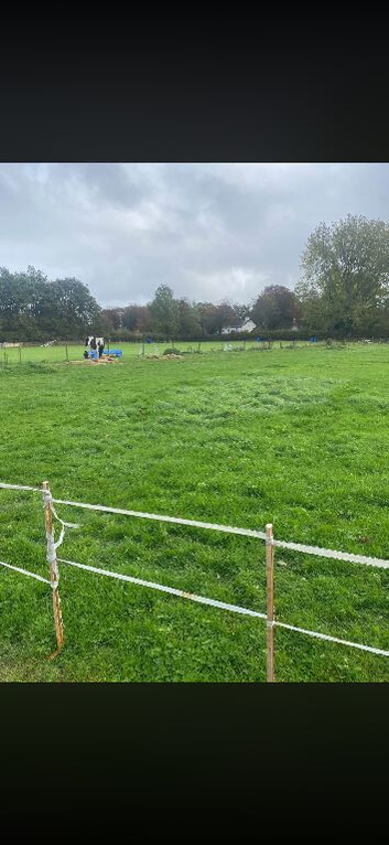 Grass livery available L40 Ormskirk