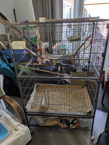 Large bird cage