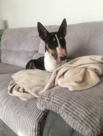 Looking for a new home