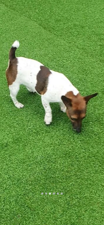 Looking For A New Home