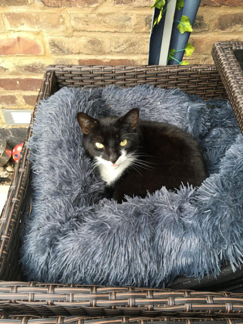 BINX looking for new home