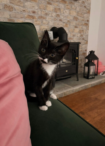 Young girl needing a loving home