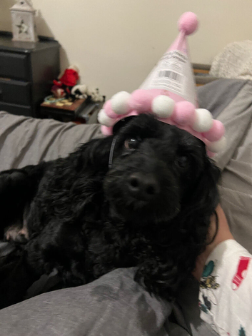 My beautiful Bella
