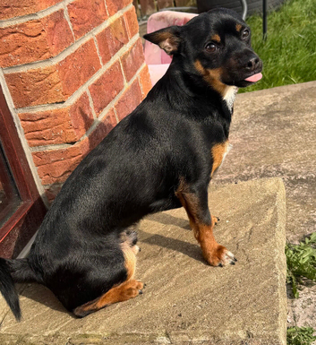 Max age 5 months ish