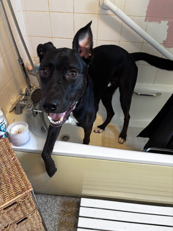 1 year old boy