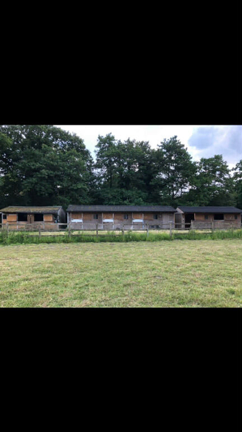 Beautiful grazing land with stables/ horse walker